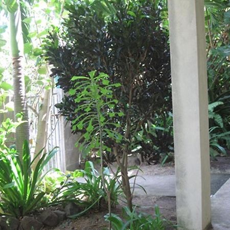 Hotel Culture House Basseterre Zewnętrze zdjęcie