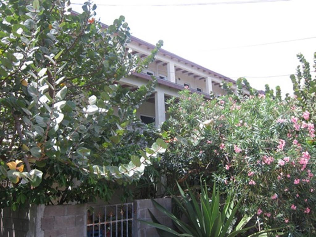 Hotel Culture House Basseterre Zewnętrze zdjęcie