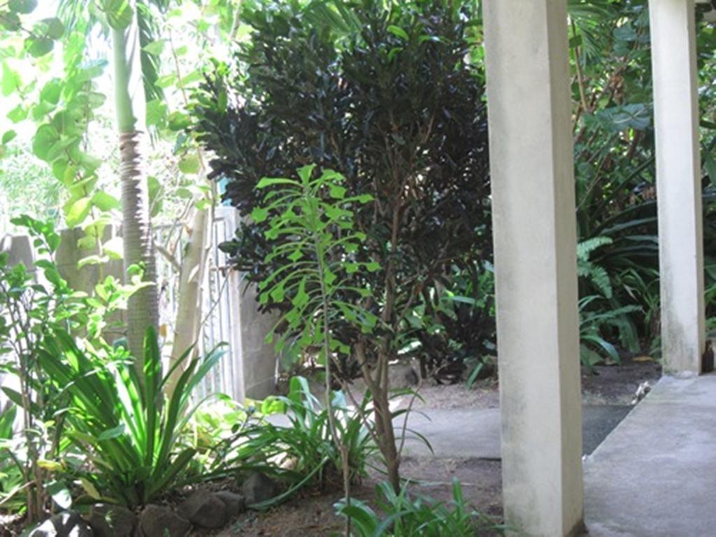 Hotel Culture House Basseterre Zewnętrze zdjęcie